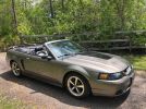 4th gen 2001 Ford Mustang SVT Cobra Convertible [SOLD]
