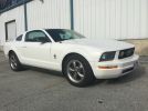 White 2006 Ford Mustang great condition [SOLD]