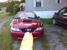 4th gen 2003 Ford Mustang GT 4.6L 5spd all leather For Sale 4th gen 2003 Ford Mustang GT 4.6L 5spd all leather For Sale