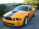 5th gen 2007 Saleen Parnelli Jones Edition Ford Mustang For Sale