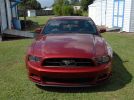 Ruby Red Metallic 2014 Ford Mustang V6 low miles For Sale