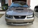 4th gen 2001 Ford Mustang GT manual garage kept For Sale