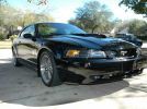 4th gen black 2001 Ford Mustang Bullitt GT V8 5spd [SOLD]