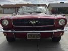 1st gen classic Ruby Red 1964 Ford Mustang V8 For Sale