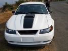 4th gen white 2003 Ford Mustang Mach 1 V8 5spd For Sale