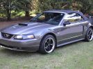 4th gen 2004 Ford Mustang 40th Anniversary Edition For Sale
