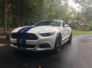 6th gen white 2015 Ford Mustang GT Premium manual For Sale