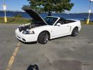 White original 2004 Ford Mustang Cobra convertible For Sale