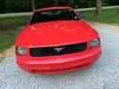 5th gen red 2008 Ford Mustang V6 5spd manual For Sale