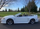 4th gen white 2001 Ford Mustang Roush convertible For Sale