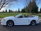 4th gen white 2001 Ford Mustang Roush convertible For Sale 4th gen white 2001 Ford Mustang Roush convertible For Sale