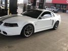 4th generation white 1999 Ford Mustang Cobra manual For Sale