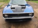 1st generation 1971 Ford Mustang Fastback 429 Cobra For Sale 1st generation 1971 Ford Mustang Fastback 429 Cobra For Sale