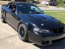 4th generation 2003 Ford Mustang Cobra 6spd manual For Sale