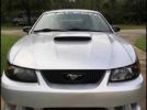 4th gen 2004 Ford Mustang Saleen S281 5spd manual For Sale