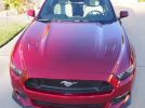 6th gen Ruby Red Metallic 2015 Ford Mustang manual For Sale
