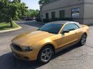 5th gen Amber Gold Metallic 2010 Ford Mustang Premium For Sale