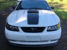 4th gen white 2003 Ford Mustang Mach 1 V8 automatic [SOLD]