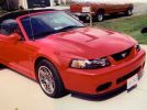 4th gen 2003 Ford Mustang 10th year anniversary SVT Terminator convertible [SOLD]