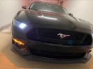 6th gen black 2017 Ford Mustang Premium 6spd manual For Sale