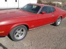 1st gen 1972 Ford Mustang Fastback 302 automatic For Sale
