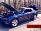 5th gen 2010 Ford Mustang GT Premium convertible [SOLD]