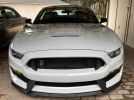 6th gen Avalanche Grey 2016 Ford Mustang Shelby GT350 manual [SOLD]