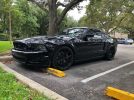 5th gen black 2014 Ford Mustang GT manual 5.0 V8 For Sale