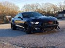 6th gen 2015 Ford Mustang GT Pro-Charged widebody s550 For Sale