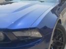5th generation blue 2011 Ford Mustang 6spd manual For Sale