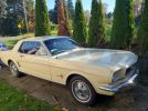 1st generation classic 1966 Ford Mustang 3spd 200 For Sale