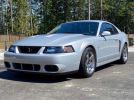 4th gen 2003 Ford Mustang Cobra Terminator supercharged For Sale