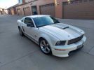 5th gen 2007 Ford Mustang GT Shelby 5spd manual For Sale