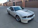 5th gen 2007 Ford Mustang GT Shelby 5spd manual For Sale 5th gen 2007 Ford Mustang GT Shelby 5spd manual For Sale