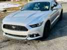 6th gen 2015 Ford Mustang EcoBoost automatic For Sale