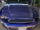 5th gen blue 2014 Ford Mustang 6spd manual For Sale