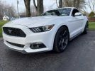 6th gen white 2015 Ford Mustang EcoBoost 6spd manual For Sale