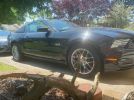 5th gen 2013 Ford Mustang automatic 5.0 V8 [SOLD]