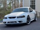 4th gen white 1999 Ford Mustang SVT Cobra For Sale