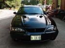 4th gen 1998 Ford Mustang Cobra coupe manual For Sale