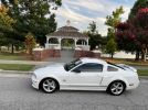 5th gen 2007 Ford Mustang Shelby GT coupe For Sale