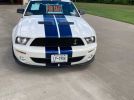 5th gen 2007 Ford Mustang Shelby GT 500 SVT For Sale