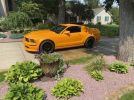 5th gen 2007 Ford Mustang Premium Coupe V6 For Sale