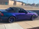 4th gen Mystichrome 2004 Ford Mustang Cobra convertible For Sale