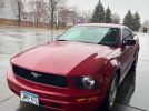 5th gen cherry red 2008 Ford Mustang V6 automatic For Sale 5th gen cherry red 2008 Ford Mustang V6 automatic For Sale