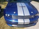 5th gen 2008 Ford Mustang Carroll Shelby Pkg For Sale 5th gen 2008 Ford Mustang Carroll Shelby Pkg For Sale