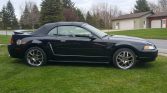 Black 2000 Ford Mustang GT convertible V8 5spd For Sale (2)