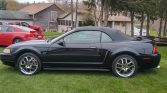 Black 2000 Ford Mustang GT convertible V8 5spd For Sale (3)