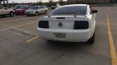 5th generation white 2005 Ford Mustang V6 automatic For Sale