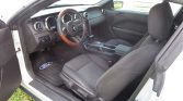 5th gen 2005 Ford Mustang Fastback V6 automatic For Sale